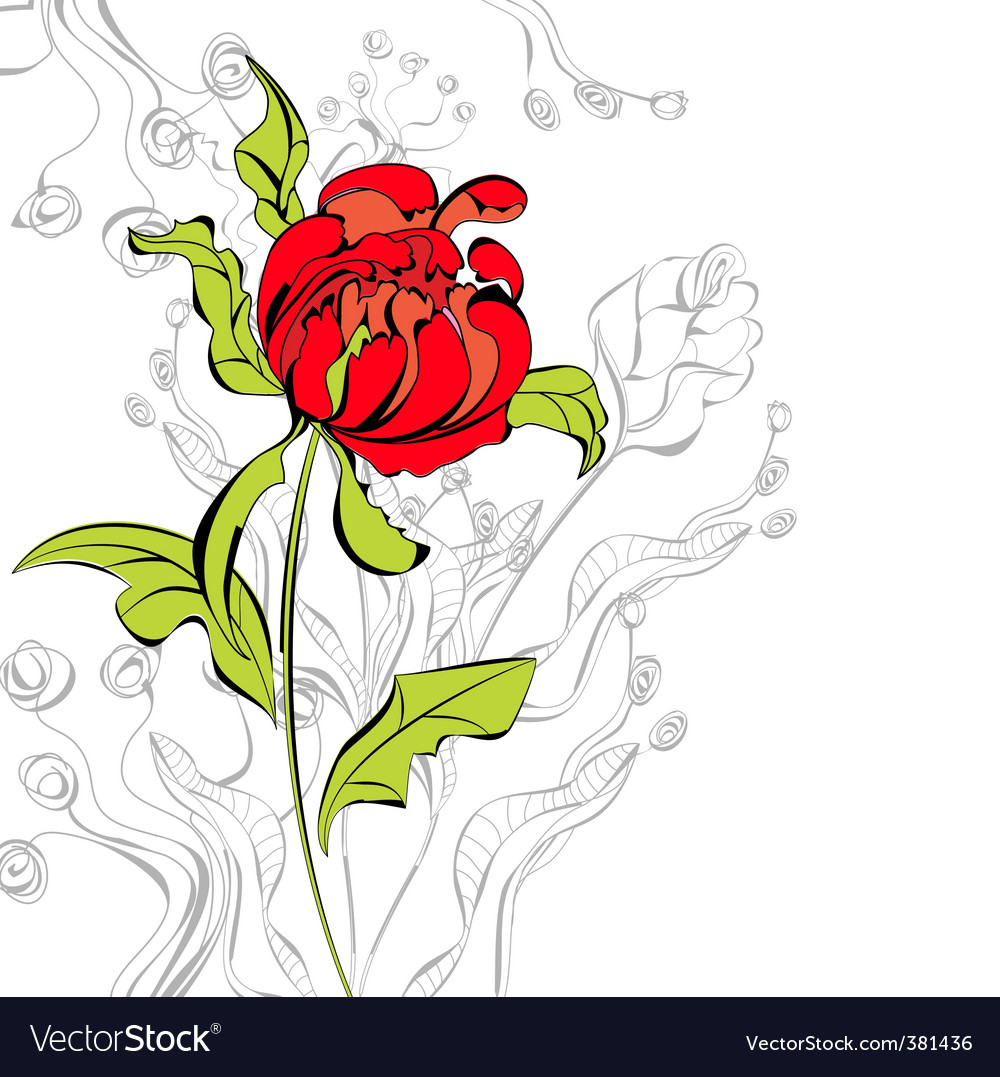 Red peony flower Royalty Free Vector Image - VectorStock