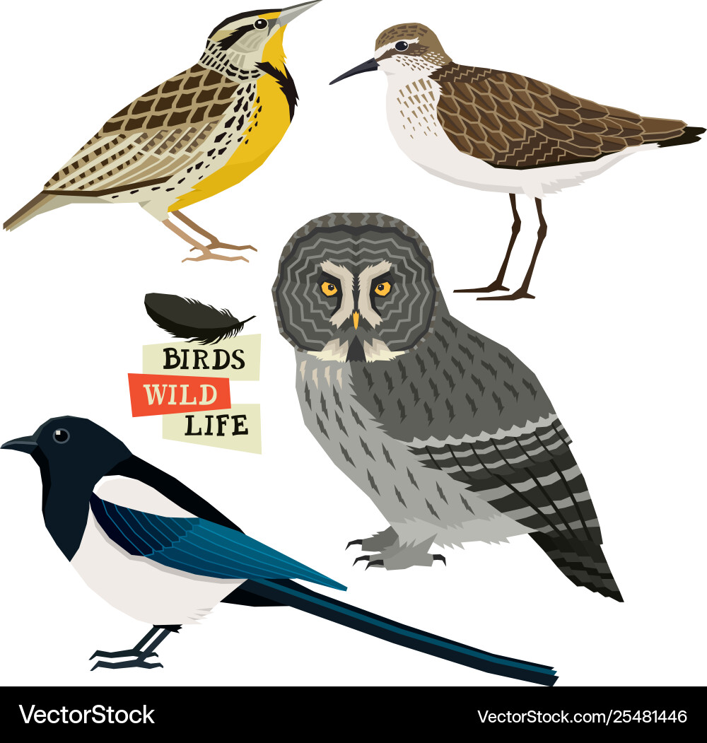 Birds collection isolated objects Royalty Free Vector Image
