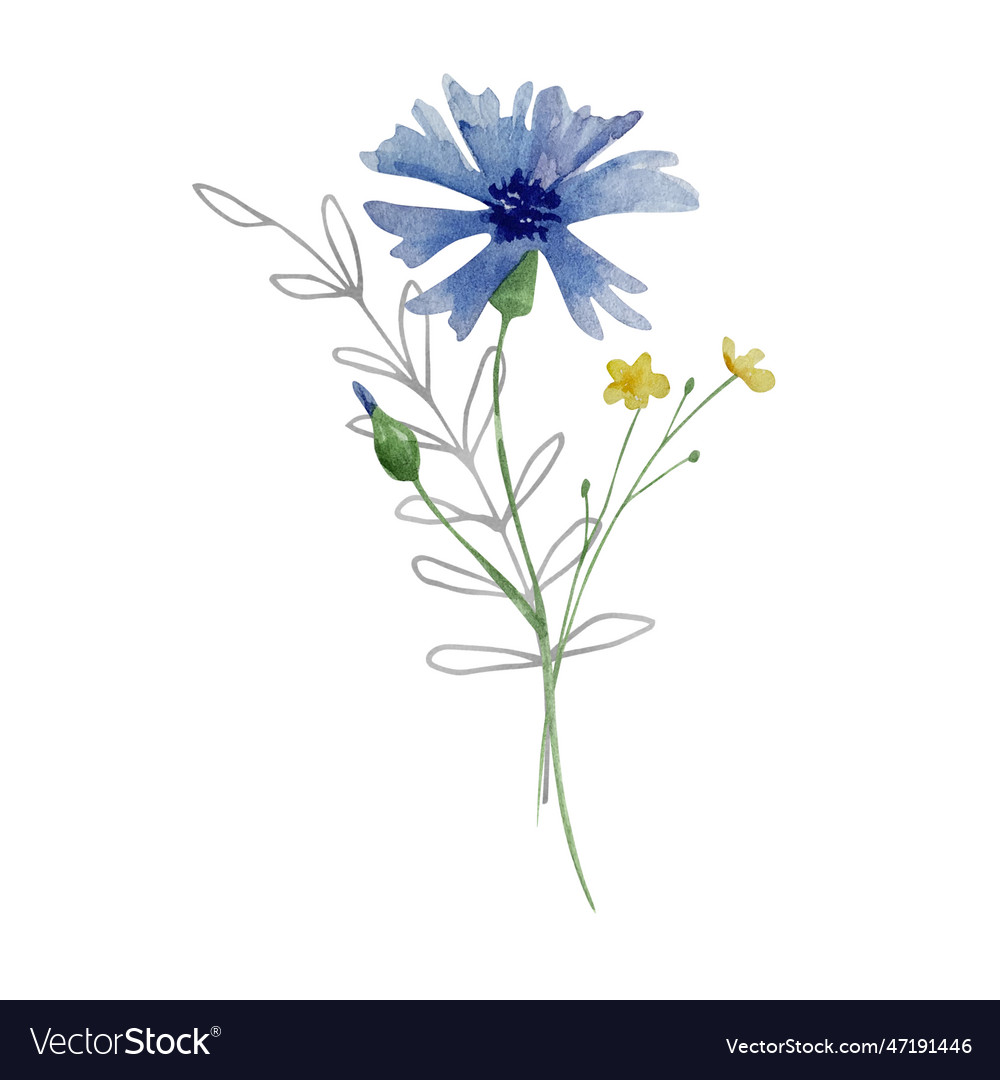 Watercolor bouquet of wildflowers Royalty Free Vector Image