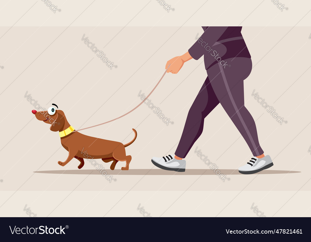 Active person walking the dog on a leash cartoon Vector Image