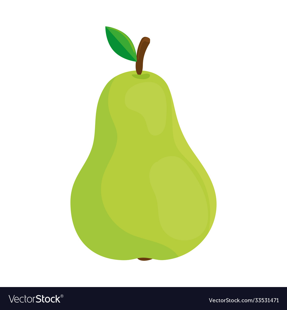 Pear fruit on white background Royalty Free Vector Image