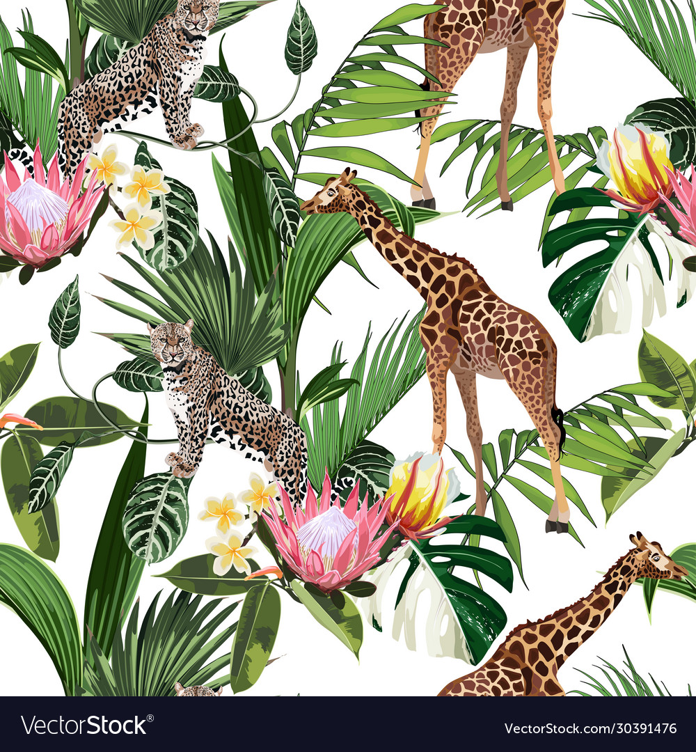 Wild animals giraffe cheetah zebra in savannah vector image Wild animals giraffe cheetah zebra in savannah