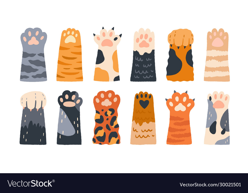 Different cartoon colored cat paws set Royalty Free Vector