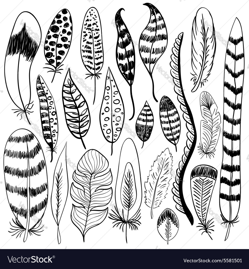 Hand drawn doodle feathers set Royalty Free Vector Image