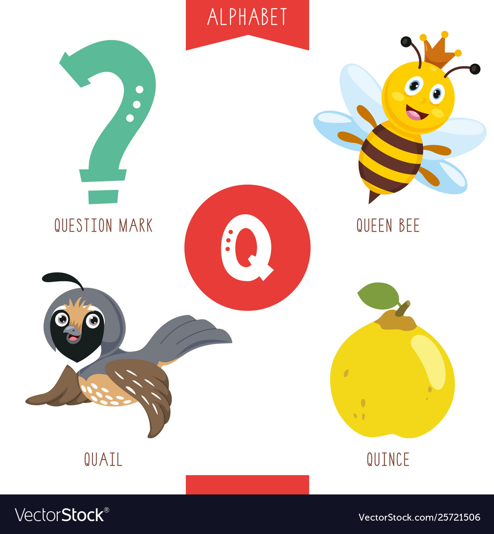 Alphabet letter q and pictures Royalty Free Vector Image