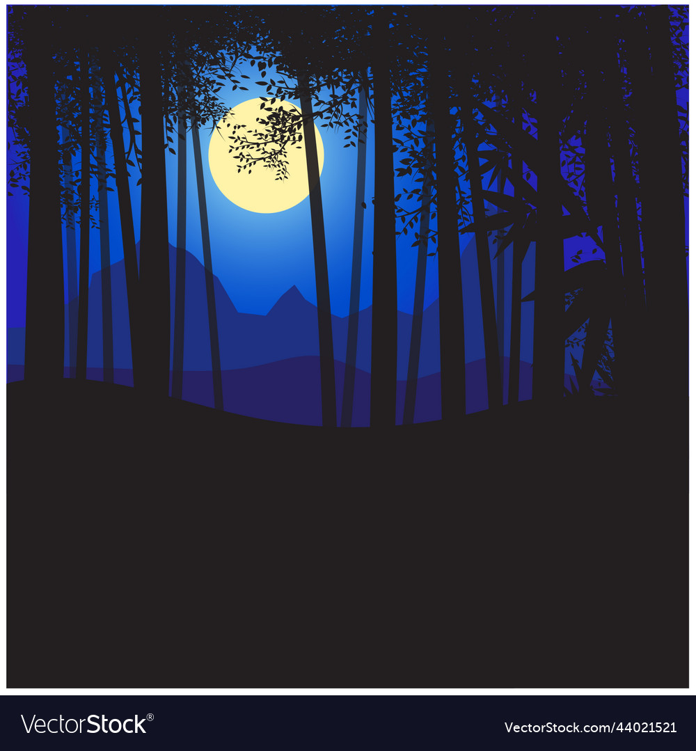 Night forest Royalty Free Vector Image - VectorStock