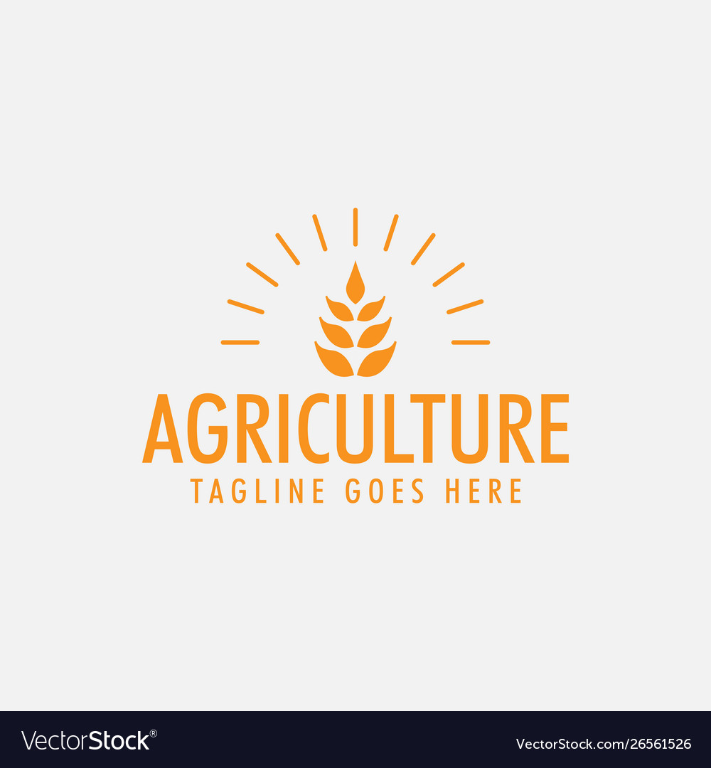 Agriculture wheat logo design template isolated Vector Image