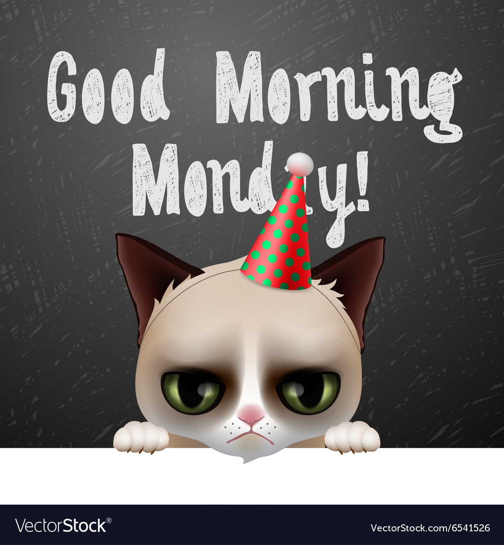 cute good morning monday images