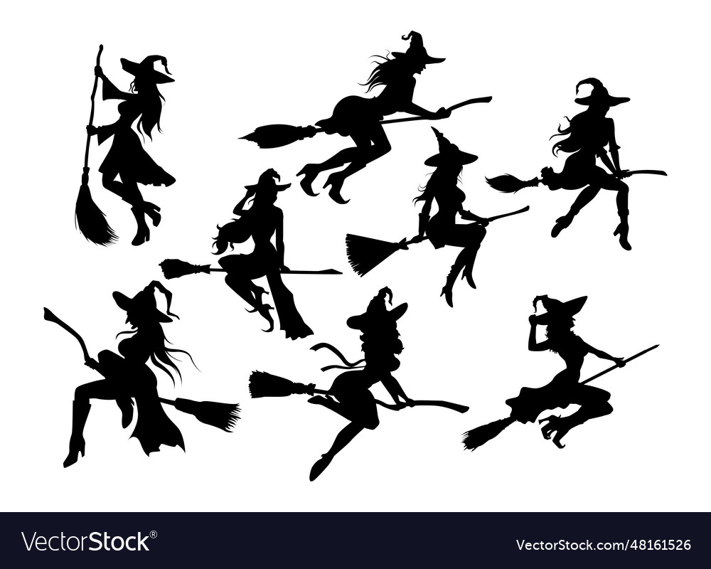 Itches flying on a broomstick Royalty Free Vector Image