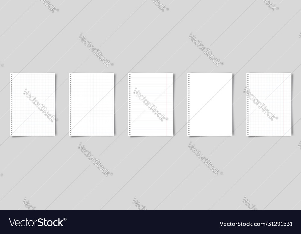Set a4 paper notebook or book page vector image Set a4 paper notebook or book page
