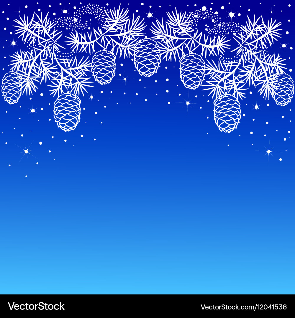 Pine branches with cones Royalty Free Vector Image