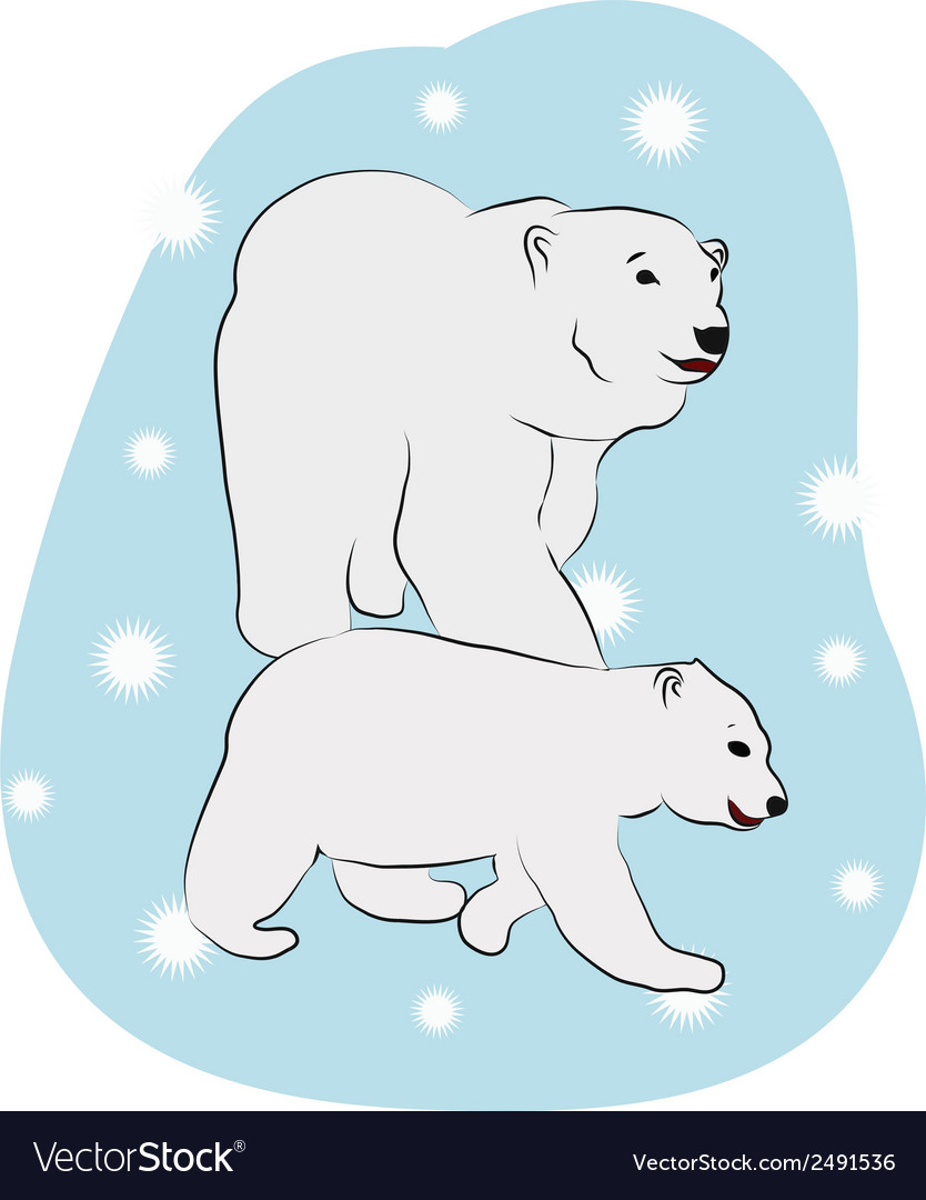 Polar bears