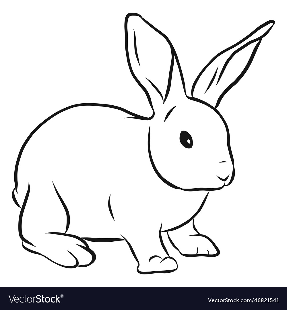 Bunny rabbit muzzle ear sketch Royalty Free Vector Image