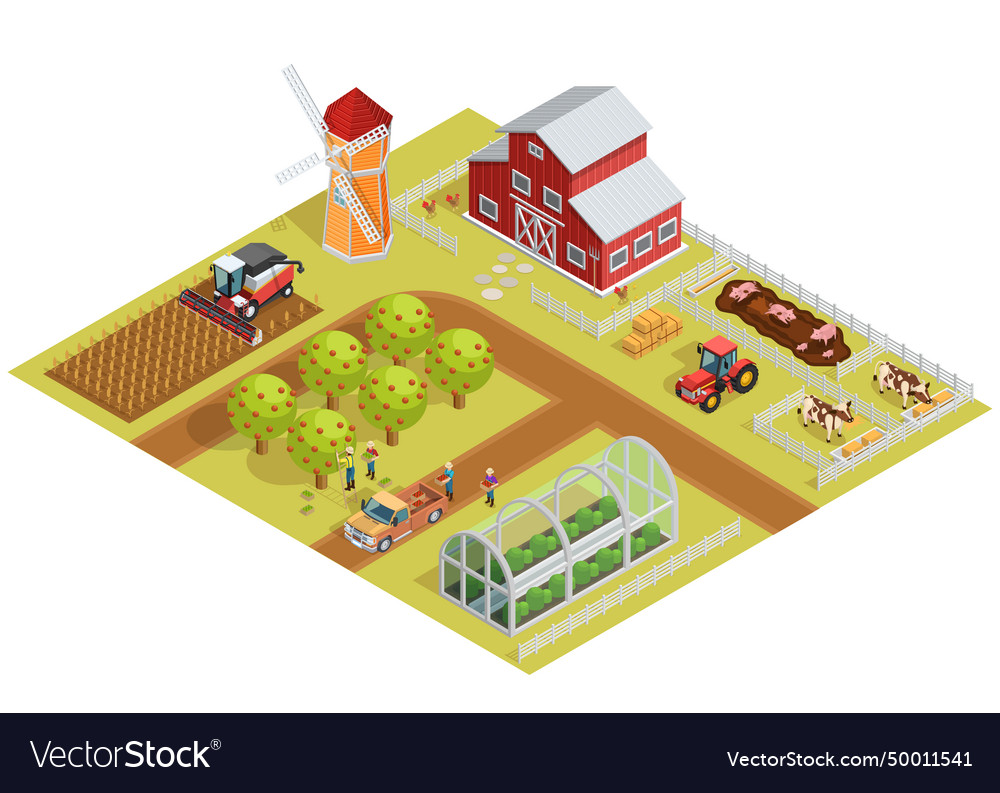 Farm isometric template Royalty Free Vector Image