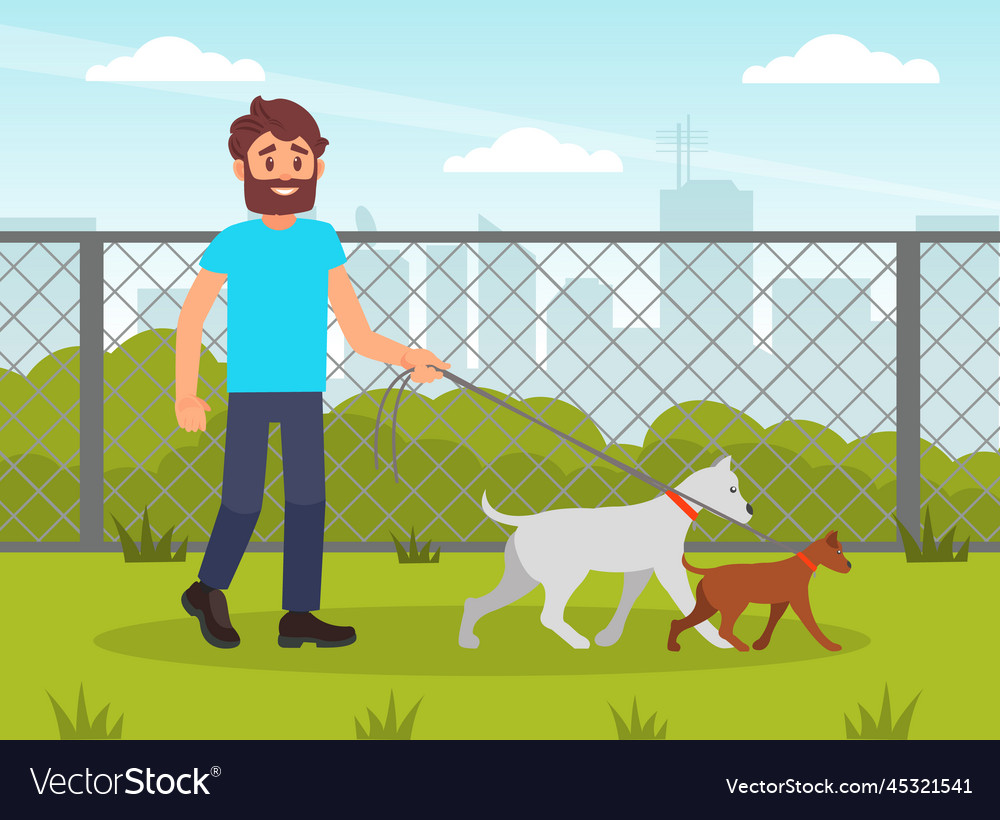 Man volunteer walking with dogs in park dog Vector Image