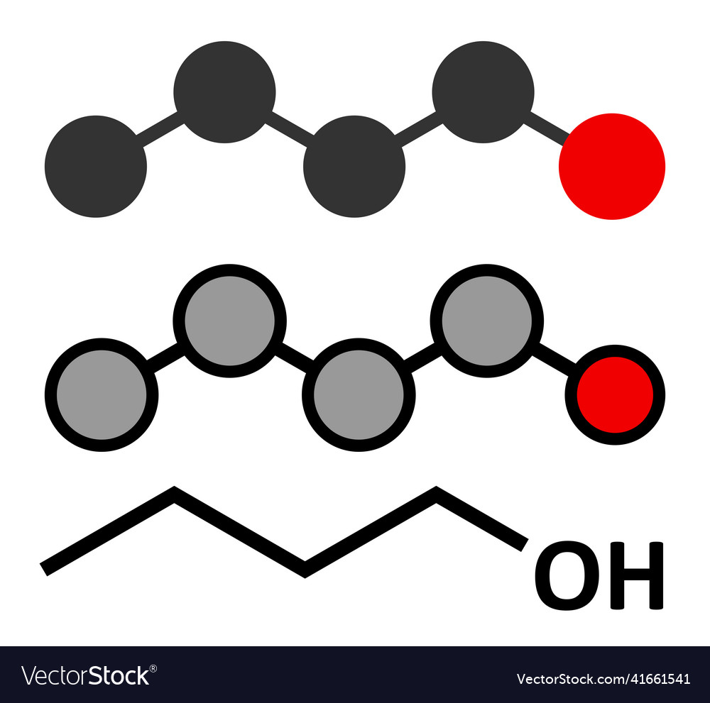 Nbutanol 1butanol molecule used as flavouring Vector Image