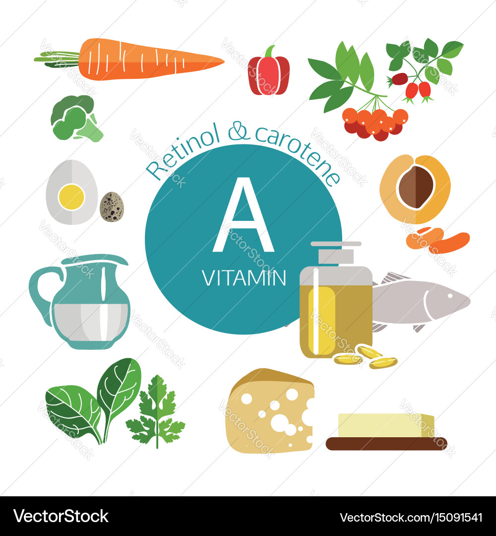Vitamin Royalty Free Vector Image Vectorstock