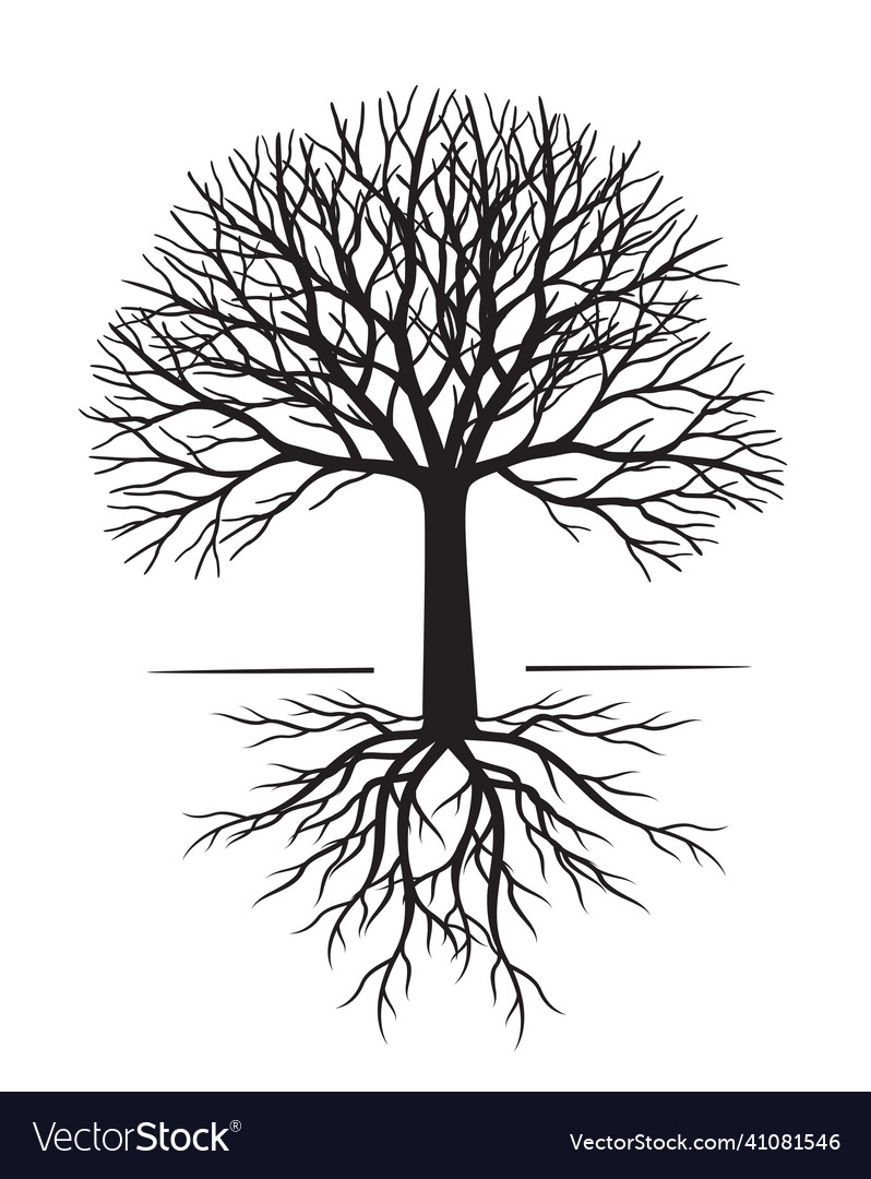 Black tree outline plant in garden Royalty Free Vector Image