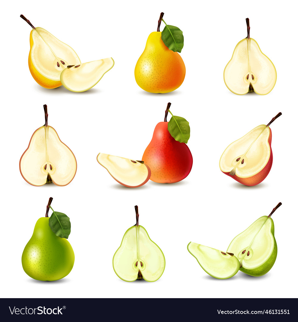 Realistic pear big icon set Royalty Free Vector Image