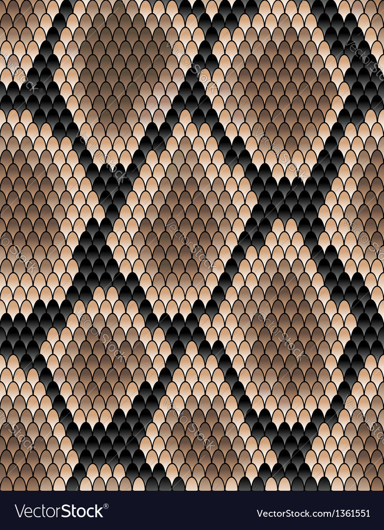 Seamless pattern of snake skin Royalty Free Vector Image