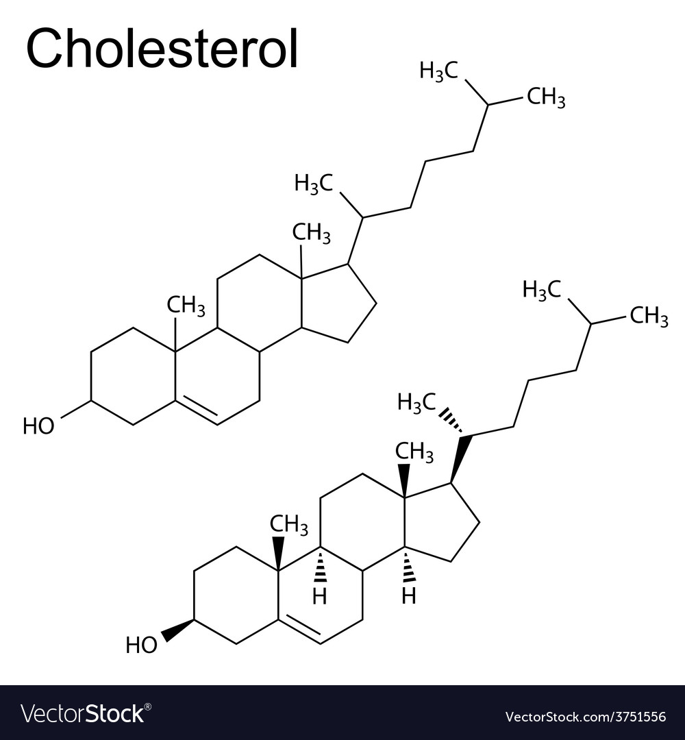 cholesterol molecule