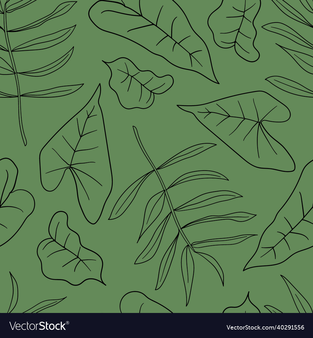 Hand drawn tropical palm leaves jungle leaves Vector Image