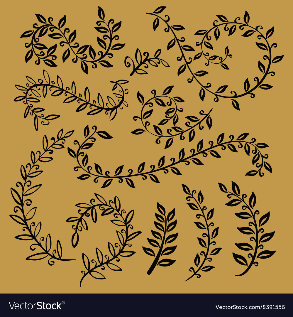 Leaves set leaf outline drawing in vintage style Vector Image