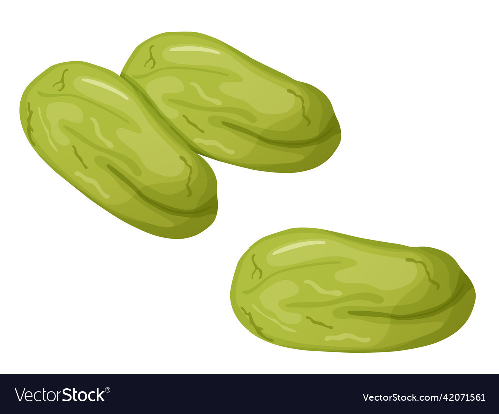 Pistachios nuts in shell and peeled cartoon Vector Image