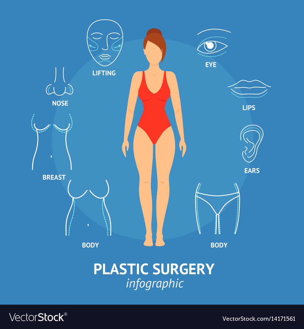 Plastic surgery body parts woman correction Vector Image