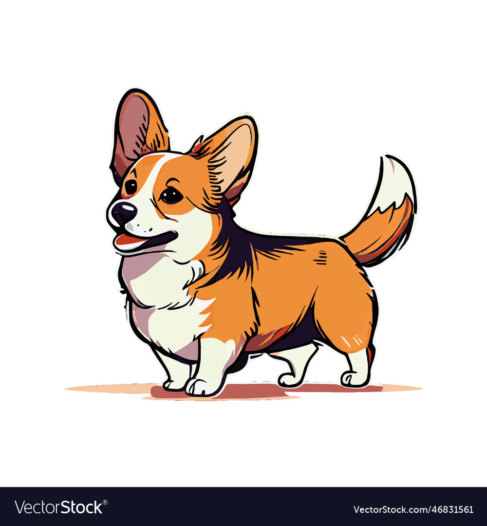 Realistic dog breed corgi on a white background Vector Image