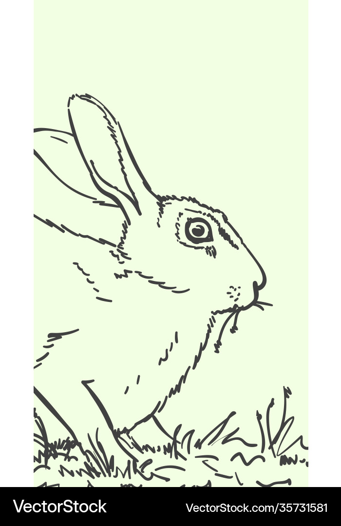 Rabbit eating grass hand drawn sketch cute Vector Image