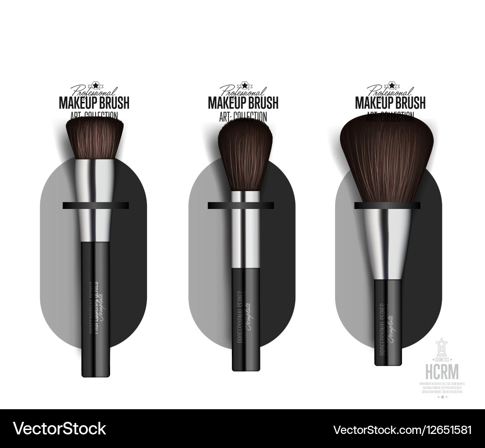 Realistic professional makeup artist brush set Vector Image