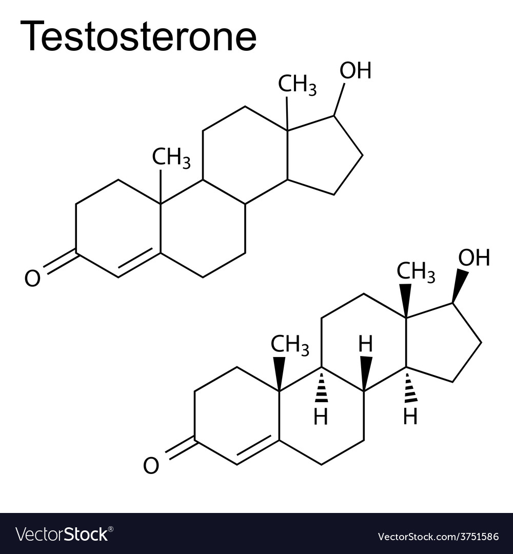 Testosterone Molecule Structure