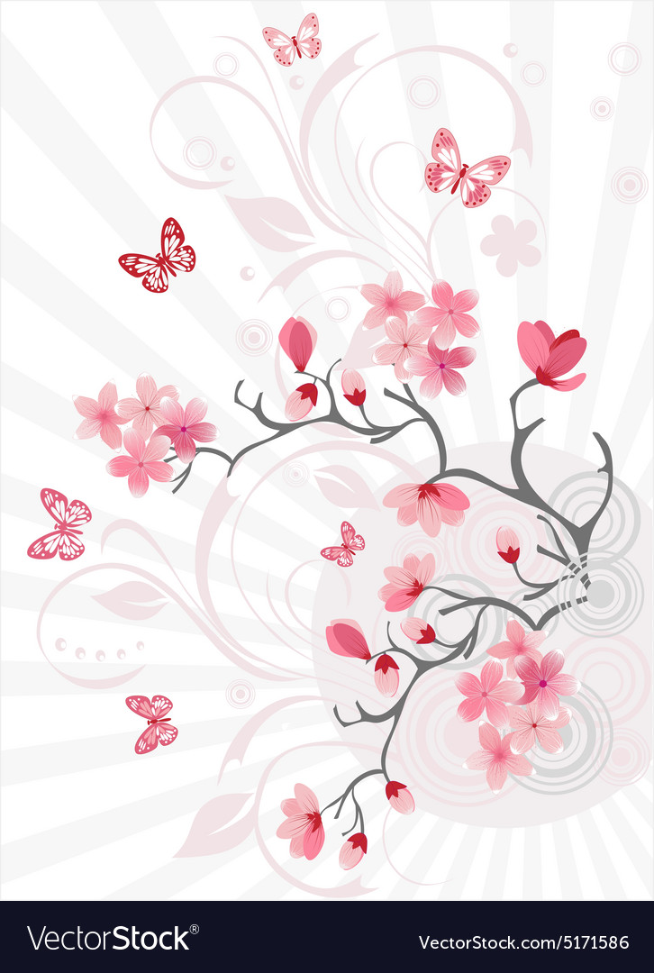 Cherry Blossom Background Royalty Free Vector Image