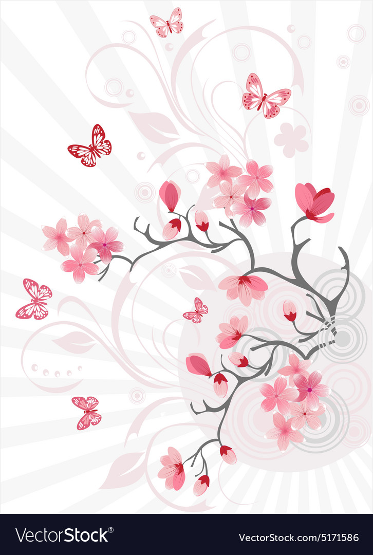 Cherry blossom background