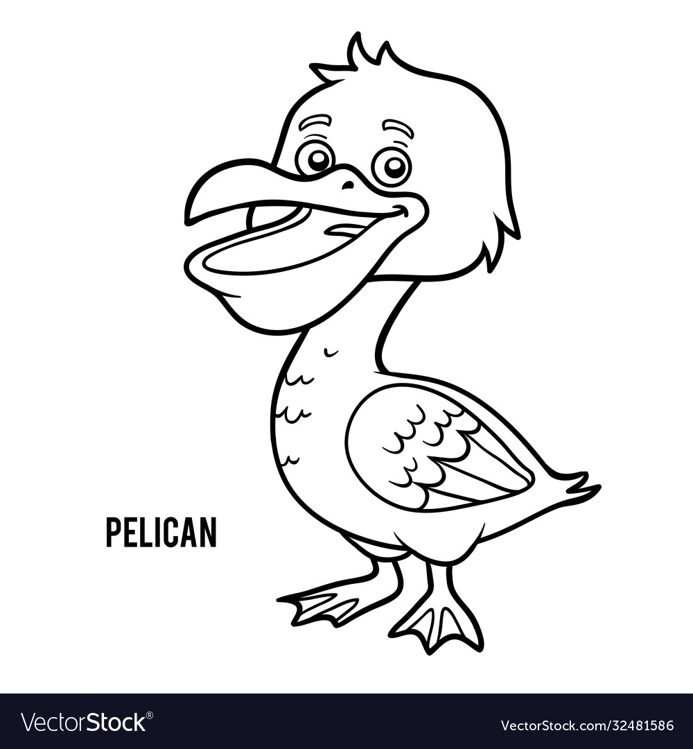 Coloring book pelican Royalty Free Vector Image