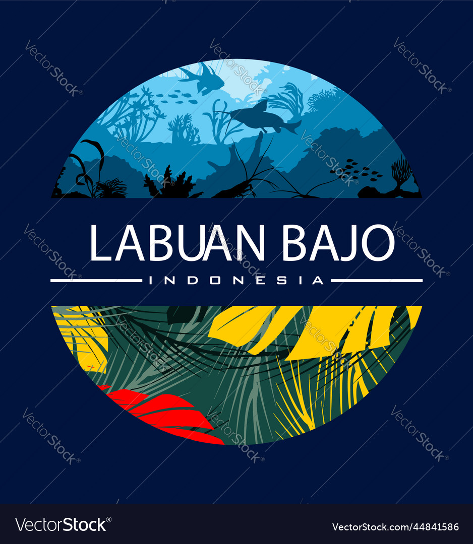 Labuan bajo with an underwater life background Vector Image