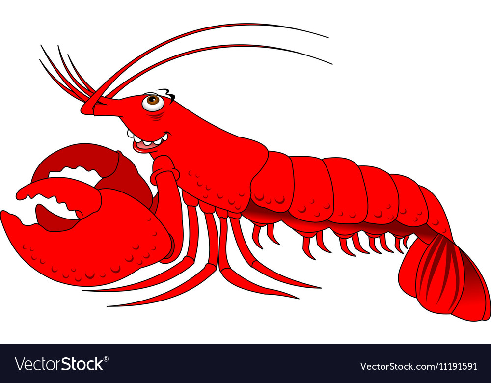 Lobster cartoon Royalty Free Vector Image - VectorStock Lobster cartoon Royalty Free Vector Image - VectorStock