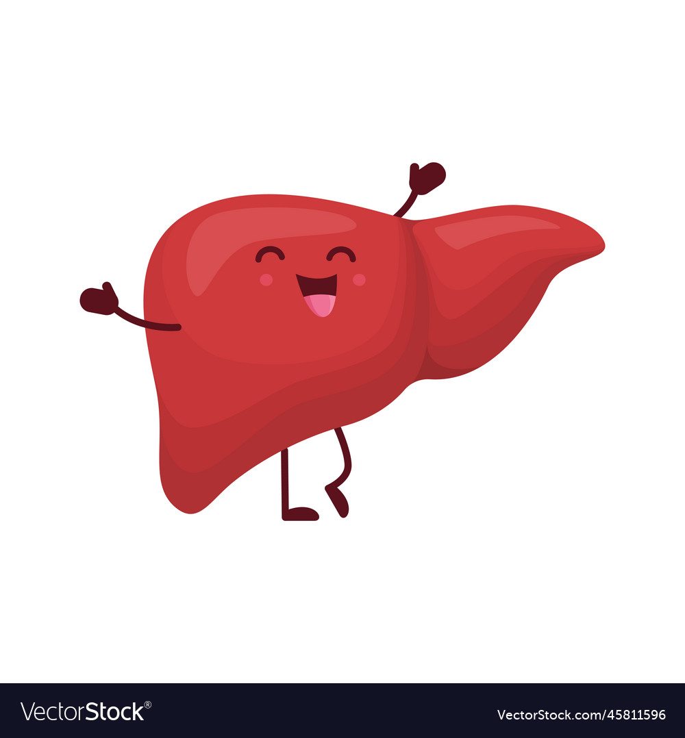 Cartoon liver human body organ funny character Vector Image