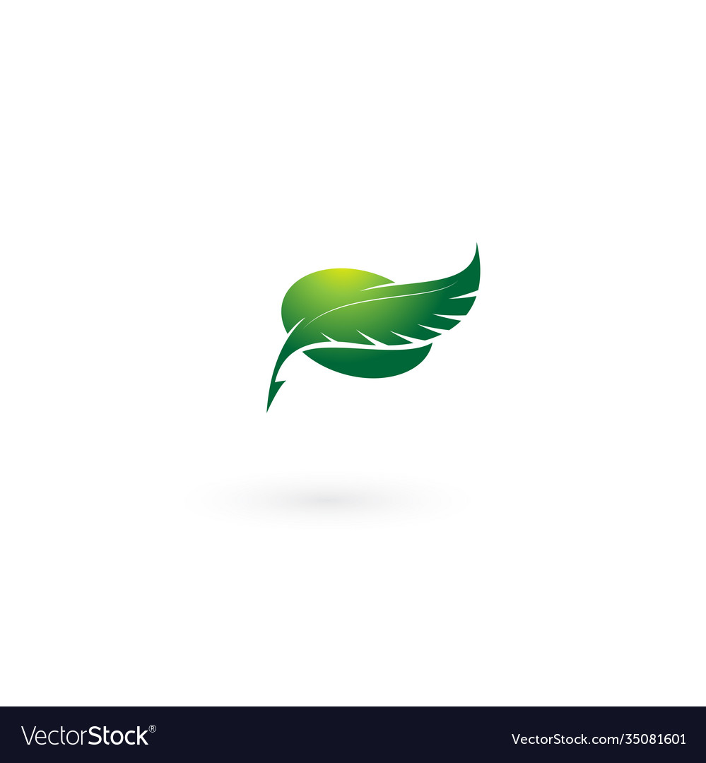 Feather leaf logo design template