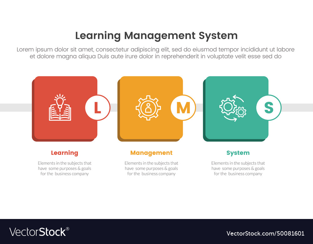 Lms learning management system infographic 3 Vector Image