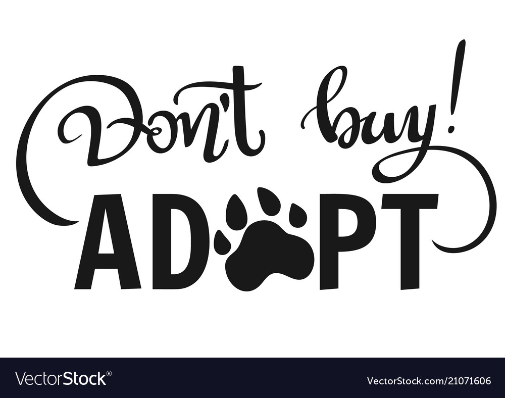 Dont buy adopt - lettering phrase vector image Dont buy adopt - lettering phrase