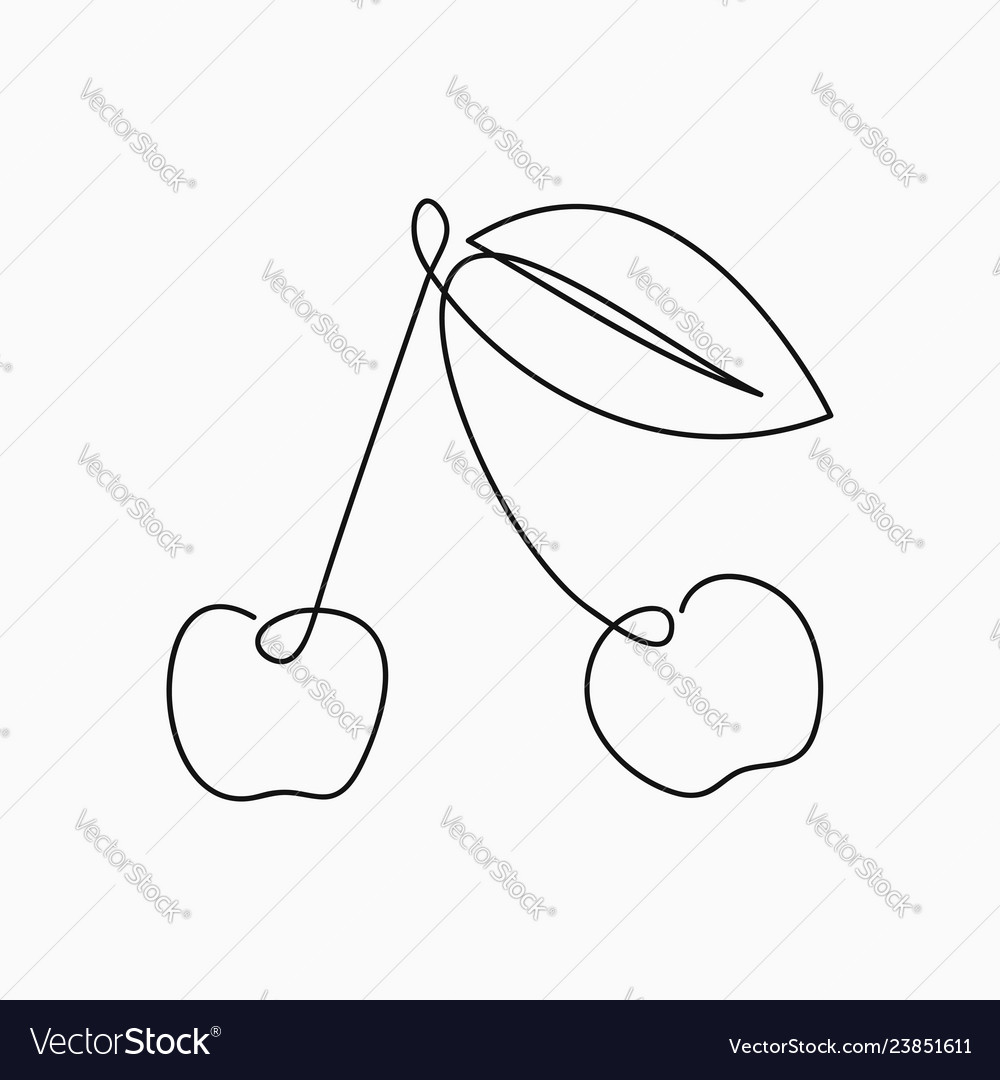 Cherry One Line Drawing Continuous Line Fruit Vector Image