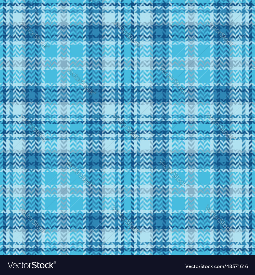 Check textile tartan of background fabric Vector Image