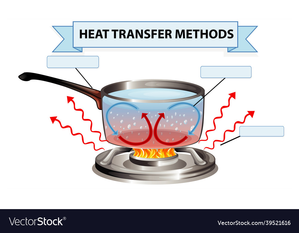 Heat transfer methods worksheet Royalty Free Vector Image