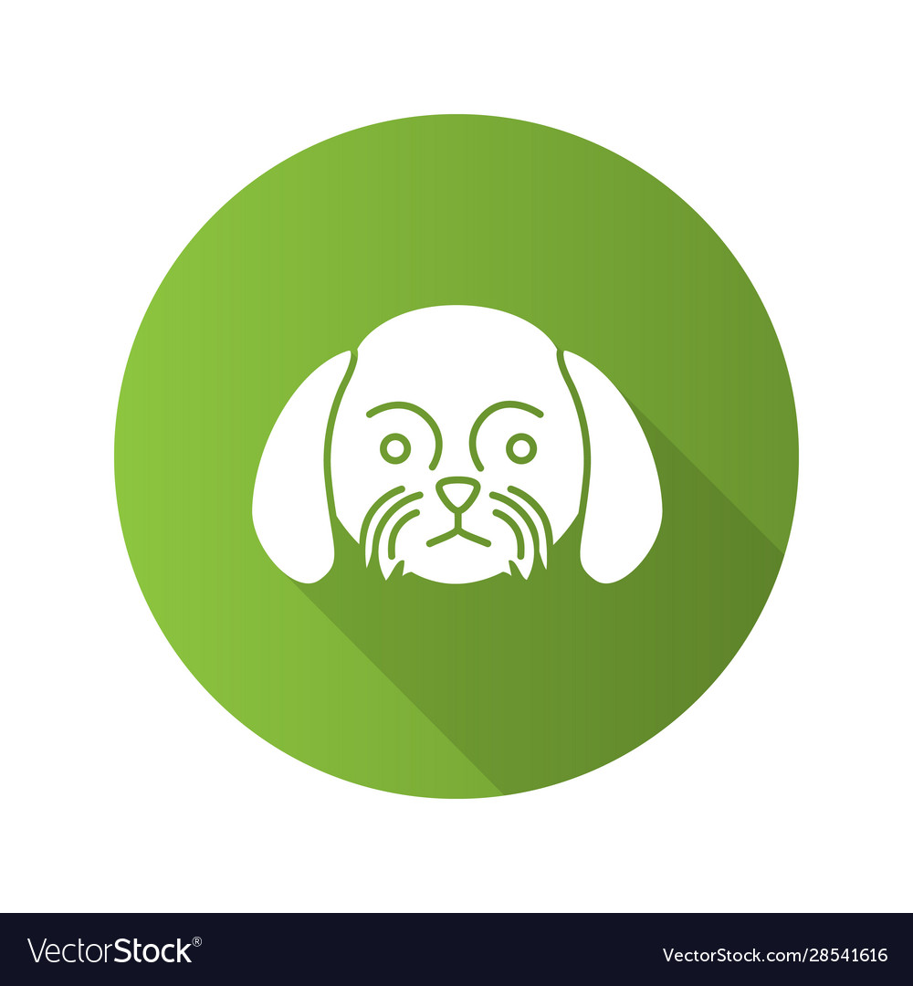 Shih Tzu Flat Design Long Shadow Glyph Icon Vector Image