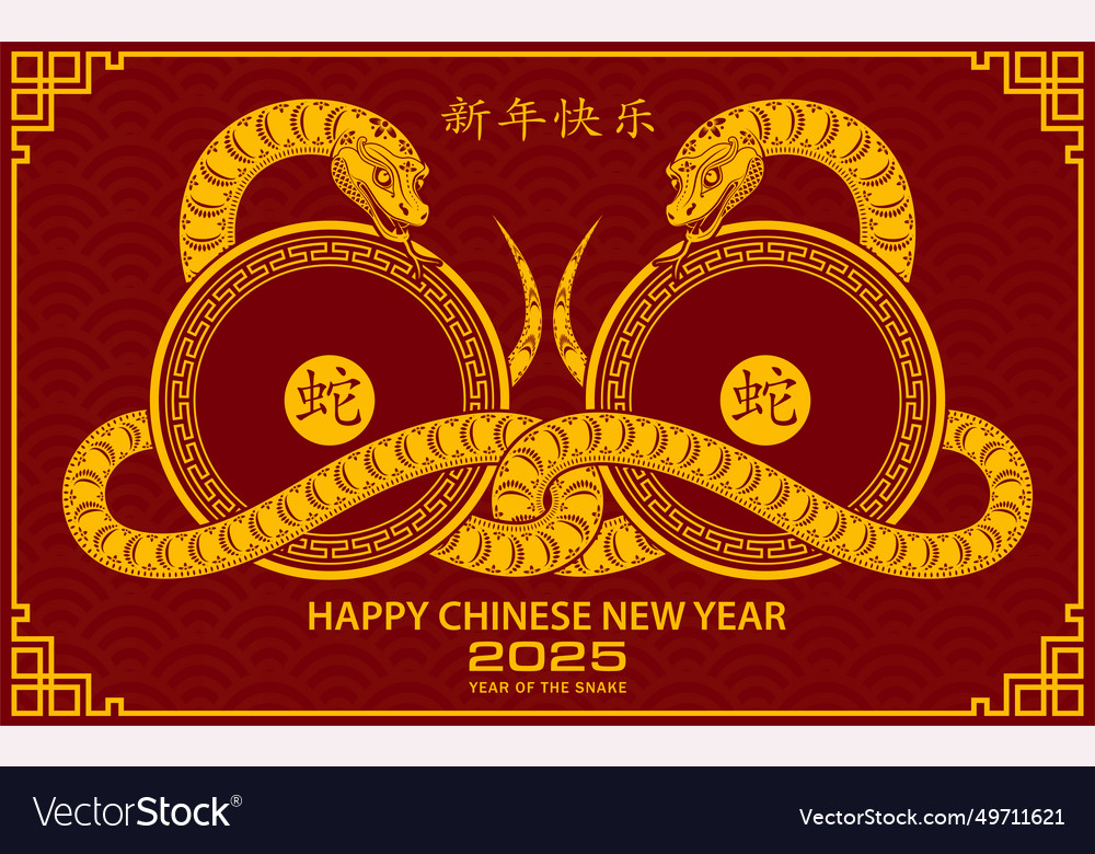 Happy chinese new year 2025 zodiac sign year of Vector Image