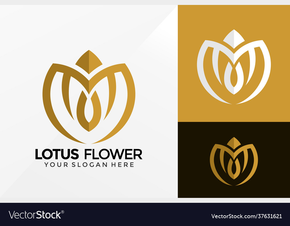 Lotus meditation logo design brand identity Vector Image