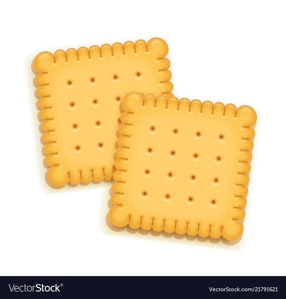 Two delicious biscuit Royalty Free Vector Image