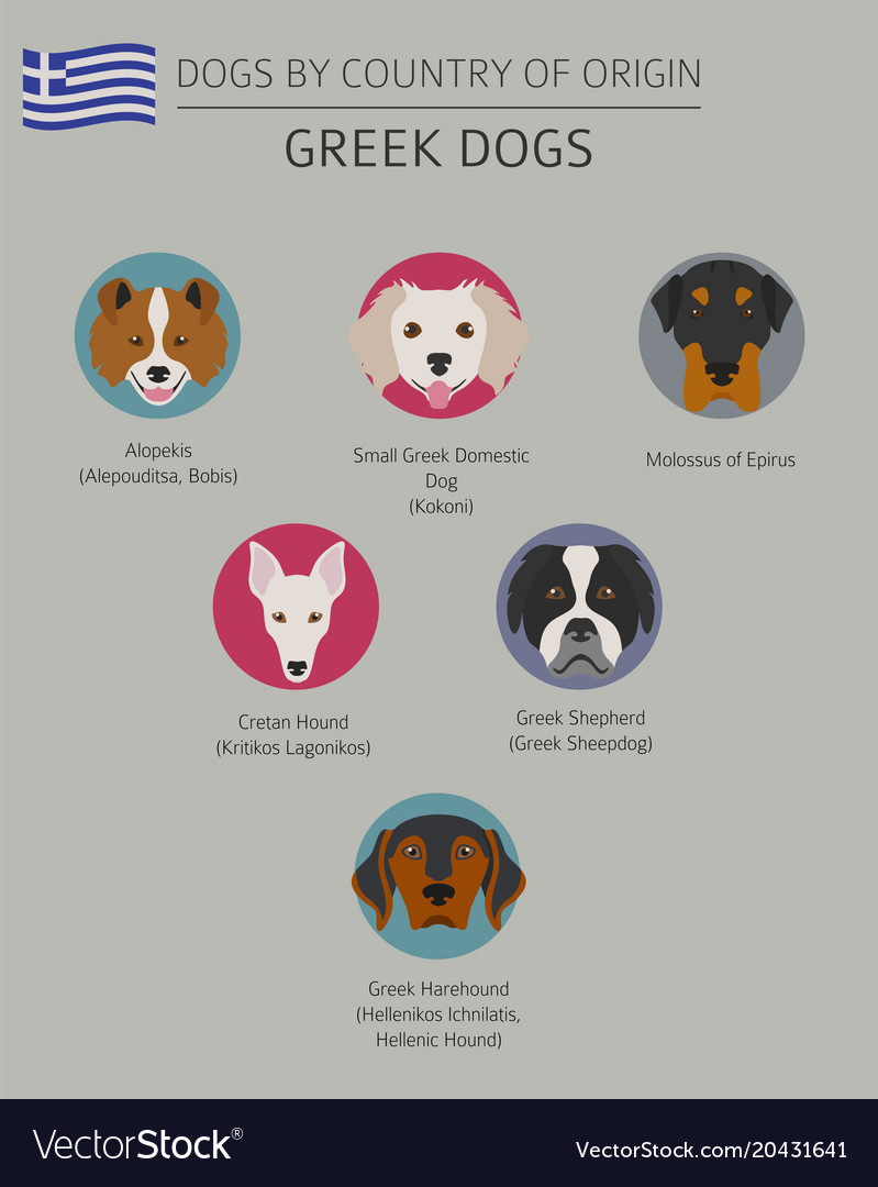 Dogs by country of origin greek dog breeds Vector Image